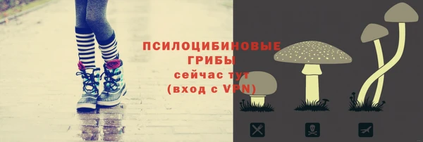 ECSTASY Абдулино