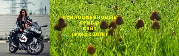 СК Абаза