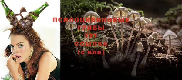 спайс Алзамай