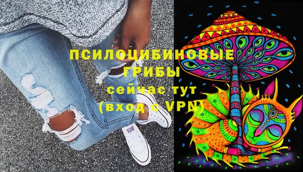 СК Абаза