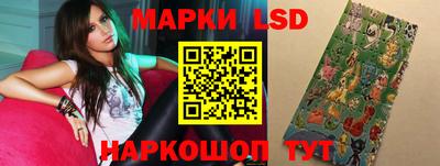 СК Ставрополь