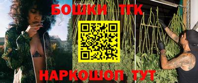 СК Ставрополь