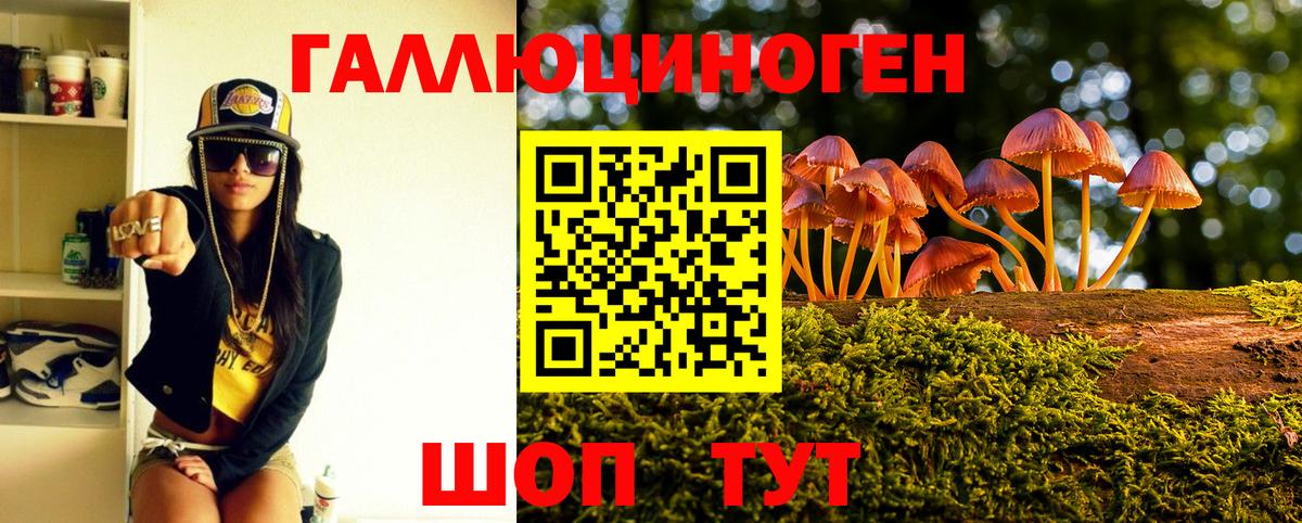 Псилоцибиновые грибы мицелий Челябинск