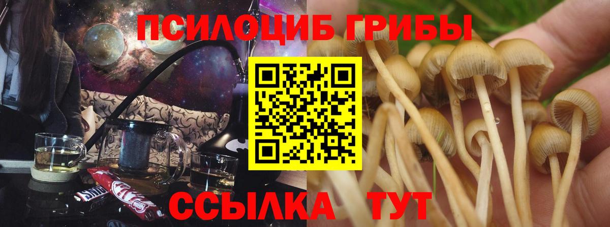 Галлюциногенные грибы MAGIC MUSHROOMS  Псилоцибиновые грибы ЛСД  Вход с VPN  Челябинск 